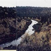 Brooks Ranch