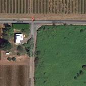 Dundee Orchards Inc.