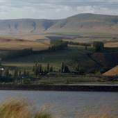 Columbia River Orchard