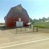 Wilsonville Road Farm