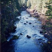 Rogue River