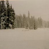 Ray Benson Snow Park