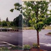 Gateway Shopping Center