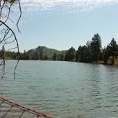 Pond - Cave Junction