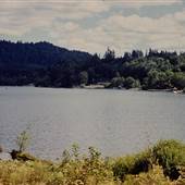 Triangle Lake