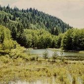 Willamette Valley Ponds
