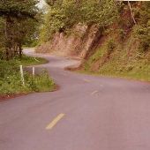 Mount Hebo Roads