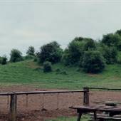 Butler Road Dairy Farm