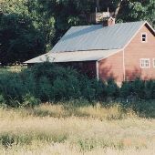 Ike Mooney Road Farm