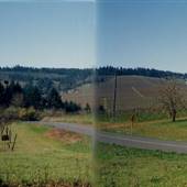 Eola Hills Vineyards - Rickreall