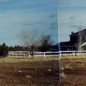 House #10002536