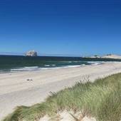 Bob Straub State Park