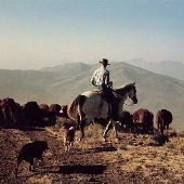 Steens Mountain Area Ranches