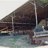 Polled Hereford Ranch