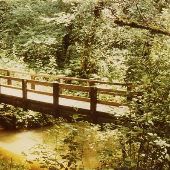Swamp Creek Footbridge - Eugene