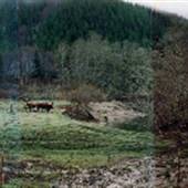 Florence Area Farm Roads