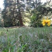 Washington Park - Wedding Meadow North