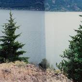 Cook's Road - Washington State