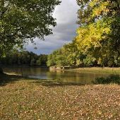 Sauvie Island - Big Eddy Fishing Spot