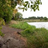 Sauvie Island - Oak Isle - Steelman Lake