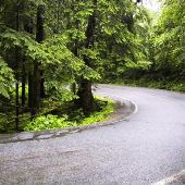 Highway 53 - Necanicum Junction