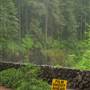Silver Falls State Park
