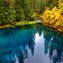 McKenzie River