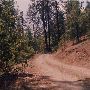Beatty Creek District - Riddle Area
