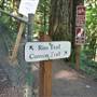 Silver Falls State Park