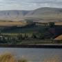 Columbia River Orchard