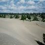 Christmas Valley Sand Dunes