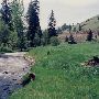 Little Sheep Creek