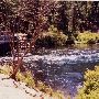 Metolius River