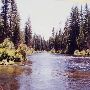 Metolius River