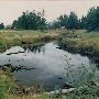 Neacoxie Creek