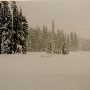 Ray Benson Snow Park