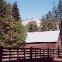 Bar M Ranch
