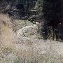 Cave Creek