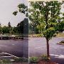 Gateway Shopping Center