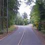 SE Lusted Road - Gresham