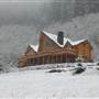 House - 10063898