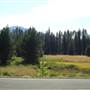 Lake of the Woods Resort