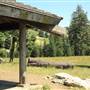 Grouse Gap Shelter