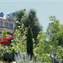 Belle Fiore Winery