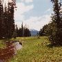 Sparks Lake