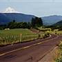 Marmot Road