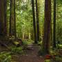 Old Salmon River Trail