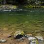 Old Salmon River Trail