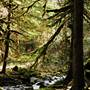 Old Salmon River Trail