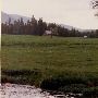 Spring Creek Farm